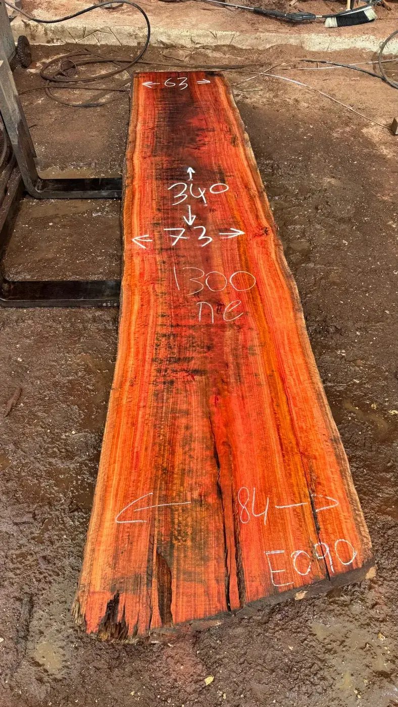 פלטת אקליפטוס אדום מספר E090