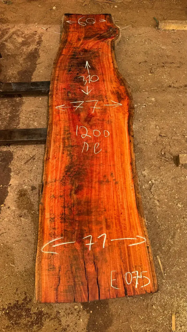 פלטת אקליפטוס אדום מספר E075